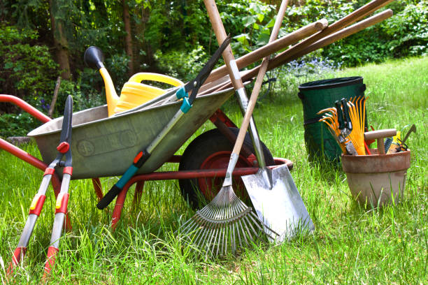 istockphoto-1128479561-612x612.jpg
